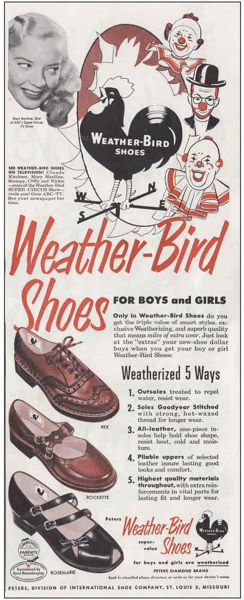 weatherbird shoes